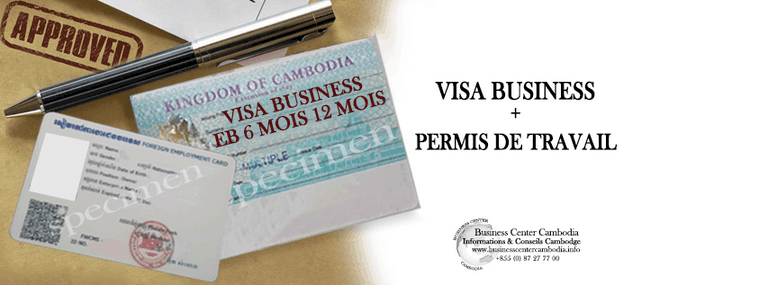 expat-business-center-cambodia-france-vivre-cambodge-cambodia-expatriation-visa-banque-telephone-cendy-lacroix-UFE-ambassade.jpeg