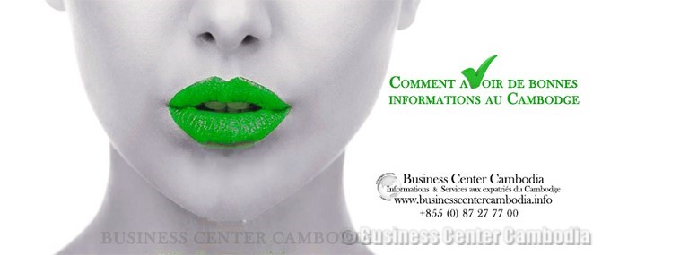 Expat-informations-expatriation-annonce-infos-investir-expat-immobilier-france-ambassade-ufe-logement-commerce-louer-vendre-acheter-cambodge-business-center-cambodia.jpeg
